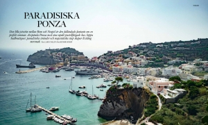 PARADISISKA PONZA